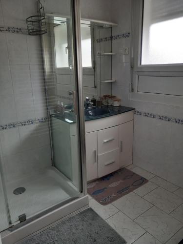 une salle de bain avec douche et lavabo dans l'établissement Maison à louer week-end des 24h, au Mans