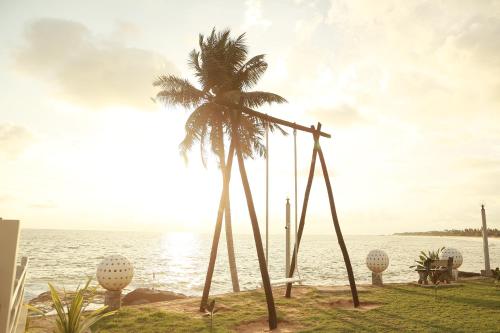 a palm tree sitting next to a body of water at New Ocean Hill Hotel in Hikkaduwa