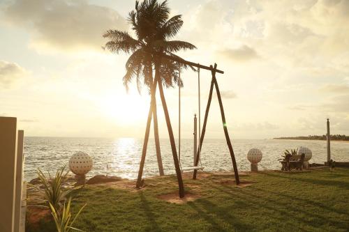 a palm tree sitting next to a body of water at New Ocean Hill Hotel in Hikkaduwa