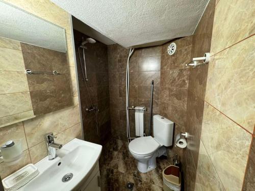 a small bathroom with a toilet and a sink at Guest House Ivan in Bansko