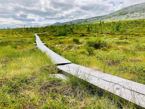 a path in the middle of a field at Björnrike Fjällstuga in Vemdalen