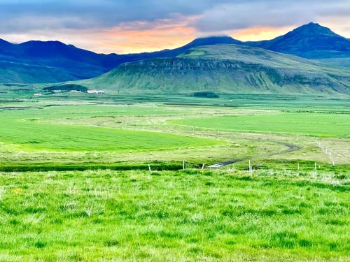 a field of green grass with mountains in the background at Hrossholt in Stykkishólmur