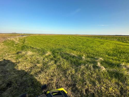 a yellow vehicle in a field of green grass at Hrossholt in Stykkishólmur