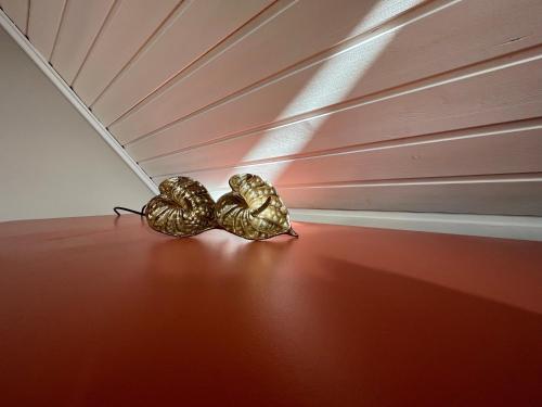 two bugs are sitting on the floor of a room at Fischerhus37 FeW Jasmund in Polchow