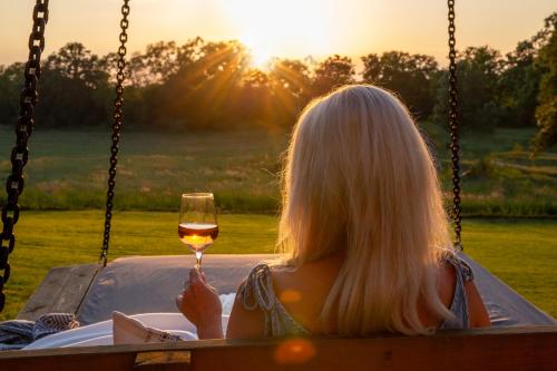 a woman sitting in a swing with a glass of wine at Wellnessparadies mit Sauna und Whirlpool in Krakow am See