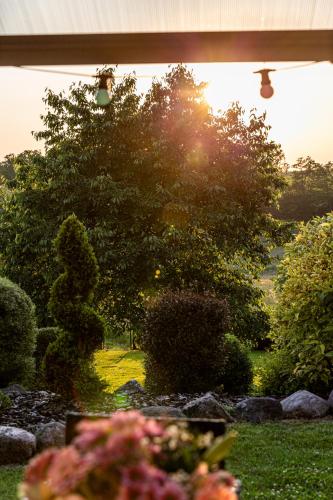 a window view of a garden with a tree at Wellnessparadies mit Sauna und Whirlpool in Krakow am See