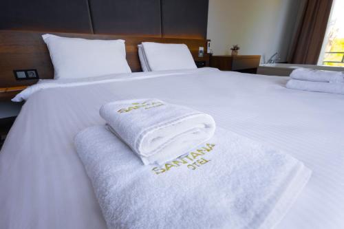 Voodi või voodid majutusasutuse SANTANA OTEL toas
