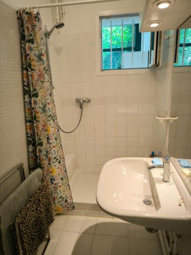 une salle de bain avec un lavabo et une douche dans l'établissement CastelBox Nature Accès direct IntraMuros, à Avignon