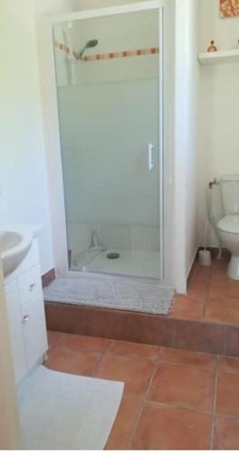 une salle de bain avec une douche, un lavabo et des toilettes dans l'établissement L'ôm de Séve un petit coin de paradis, à Forcalqueiret