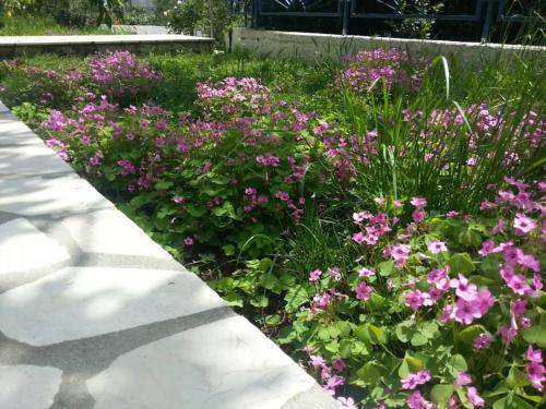 Afbeelding uit fotogalerij van Sunny paradise, 50 m from beach in Podglavica