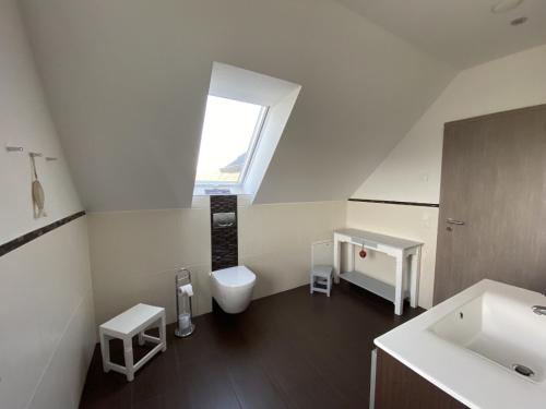 a bathroom with a toilet and a sink and a window at Haus Am Dorfteich D mit Spielplatz in Fehmarn