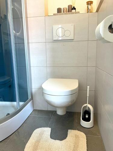 a bathroom with a toilet and a shower at Gemse-Schneiders Wohnen auf dem Bauernhof in Schollbrunn