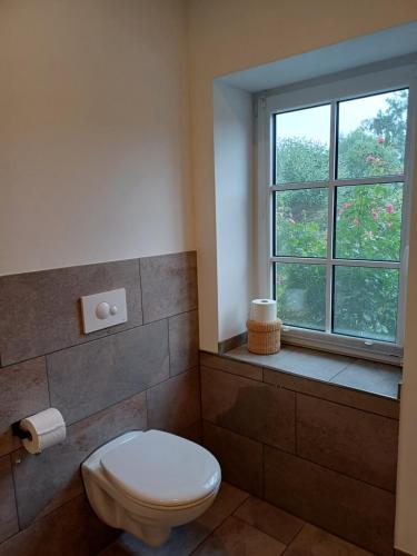 a bathroom with a toilet and a window at Ferienwohnung Wussegel in Hitzacker