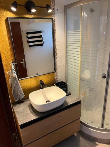 a bathroom with a white sink and a shower at Mira Mare Beachfront Villa in Nea Skioni