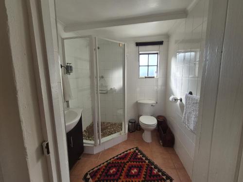 a bathroom with a shower and a toilet and a sink at Ganora Guest Farm, Camping and Excursions in Nieu-Bethesda