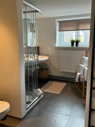 a bathroom with a shower and a sink at La Estancia Latinos in Valkenburg