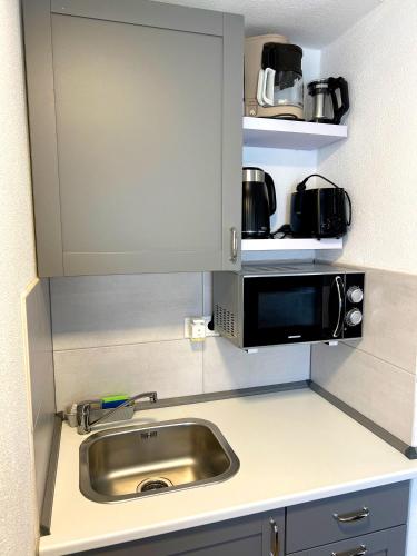 a kitchen with a sink and a microwave at Gemse-Schneiders Wohnen auf dem Bauernhof in Schollbrunn
