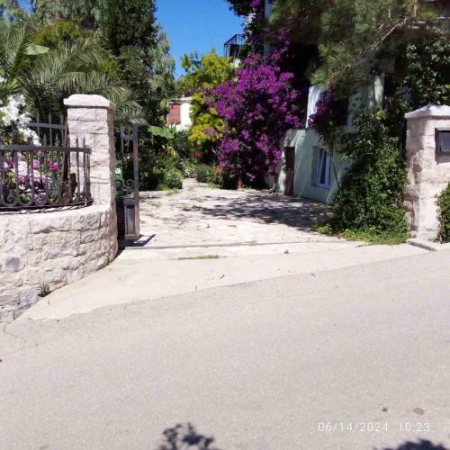 an empty street with a fence and purple flowers at Vila Maljevik in Sutomore