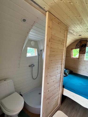une petite salle de bain avec toilettes et douche dans l'établissement Auberge de l'Hirondelle, à Saint-Cirq