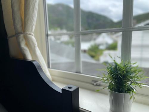 Fotografie z fotogalerie ubytování Jondal Hotel v destinaci Jondal