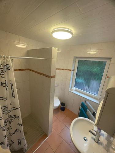 a bathroom with a shower and a sink at Ferienwohnung Hartung in Hinte