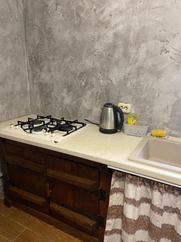 a kitchen counter with a stove and a sink at U Bogdana in Yaremche