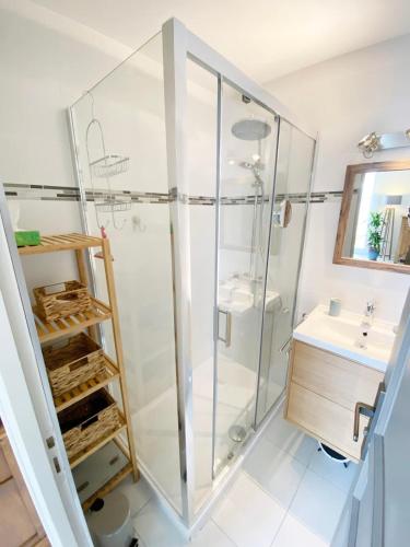 une salle de bain avec douche et lavabo dans l'établissement New T1 with courtyard between port and beach, à Saint-Martin-de-Ré