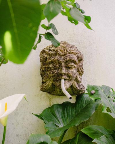a statue of a head with a tongue sticking out at Casa das Fontes in Ponte da Barca