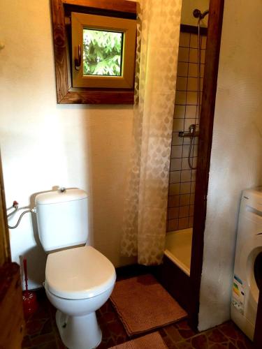 a small bathroom with a toilet and a window at Domek przy Azylu Bocianim in Hutna Wieś