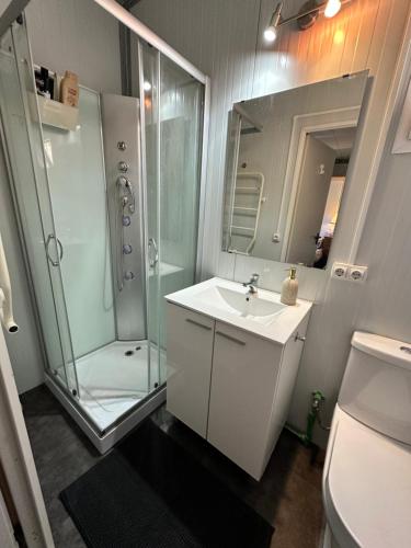 a bathroom with a shower and a sink and a mirror at Bungalow GOLOSINA in Torrelaguna
