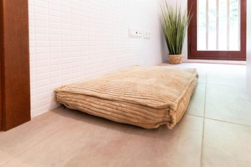 a large bed in a room with a potted plant at Apartament la Xisqueta - Vall Fosca - L'Amfitriona in Espúy