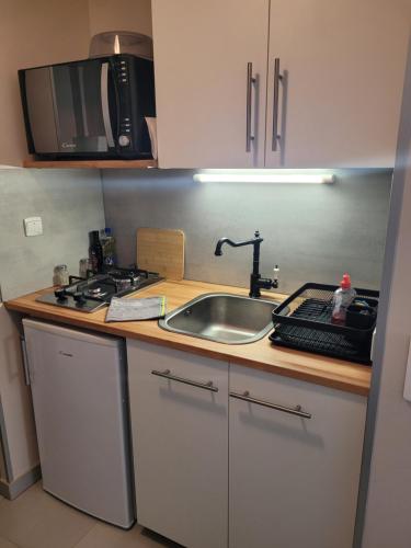 a kitchen counter with a sink and a microwave at Millau : Charmant studio indépendant in Millau