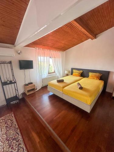 a bedroom with a large bed and a television at ТРАКАРТ-ПАРК in Plovdiv