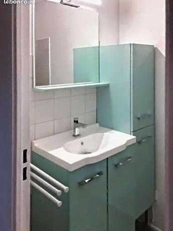 une salle de bain avec un lavabo et un miroir dans l'établissement Studio avec terrasse et jardin, à Aix-en-Provence