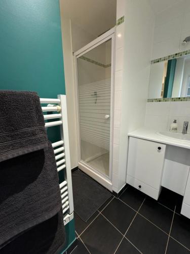 a bathroom with a shower and a sink at Appartement avec terrasse privée in Chaumont