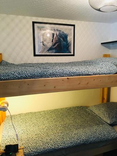 Etagenbett in einem Zimmer mit einem Bild an der Wand in der Unterkunft Lumineux Appartement 2 Alpes in Vénosc