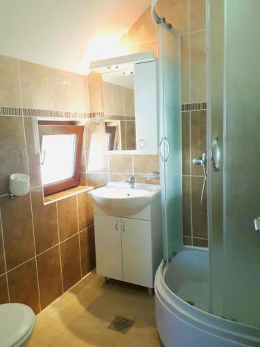 a bathroom with a sink and a shower and a toilet at Vila Vitezov Mir - Drina in Vrhpolje