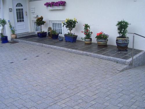 a group of potted plants sitting outside of a house at Ferienwohnung mit herrlicher Aussicht "Ihre Urlaubs-Oase auf Zeit!" in Bad Dürrheim