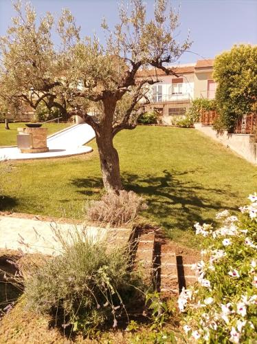 Gallery image of Villa Istonia in Cupello