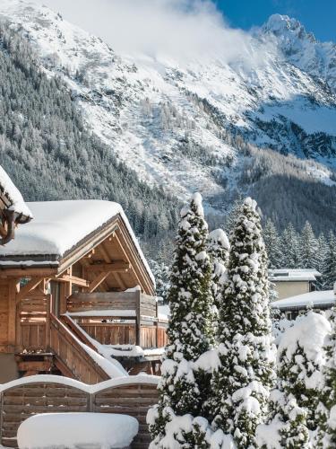 Les Rives d'Argentière photo 90