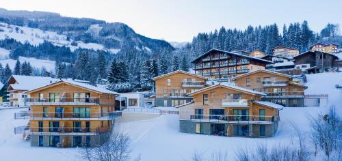 a group of condos in a ski resort in the snow at Panorama Lodge Premium Apartments in Schladming