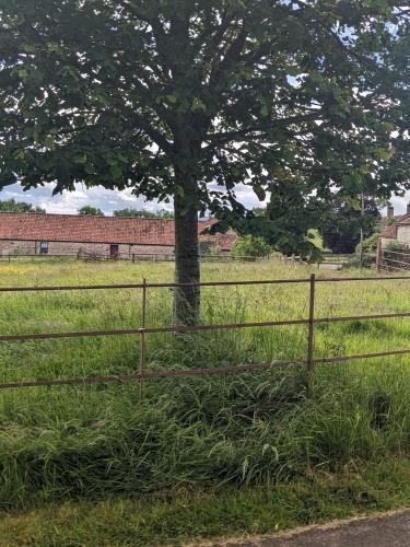 Regilbury court, Grooms house photo 29