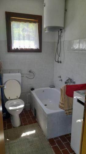 a bathroom with a toilet and a tub and a sink at Vikendica Davidović in Landeke