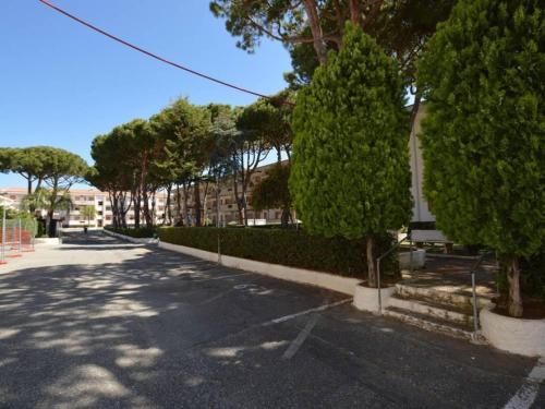 a street with trees on the side of a road at Casa Vacanze Diamante - Parco del Sole in Diamante