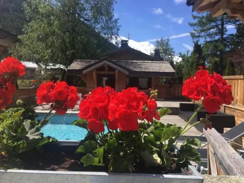 Les Rives d'Argentière photo 11
