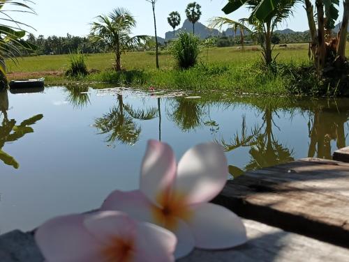 a flower on a table next to a pond at สุขเสมอ โฮมสเตย์ (Suk-Samer homestay) in Ban Nong Phao Than