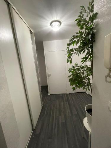 un couloir avec une plante en pot et une porte blanche dans l'établissement Appart confort T3, à Ivry-sur-Seine