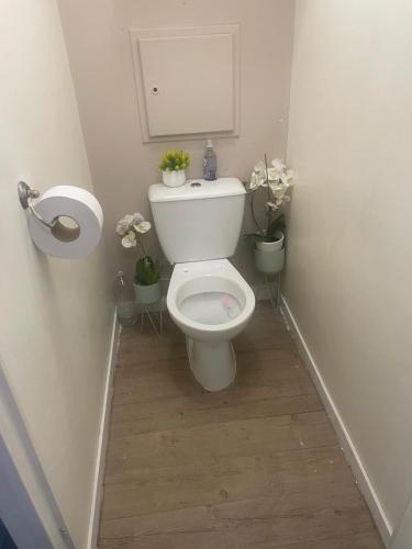 La salle de bains est pourvue de toilettes fleuries. dans l'établissement Appart confort T3, à Ivry-sur-Seine