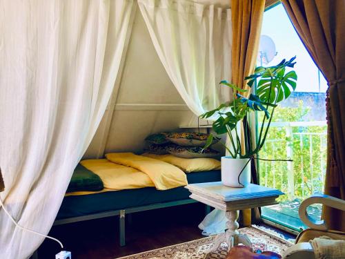 a bed in a room with a window at Captivating Studio Apartment in Mexilhoeira Grande in Mexilhoeira Grande