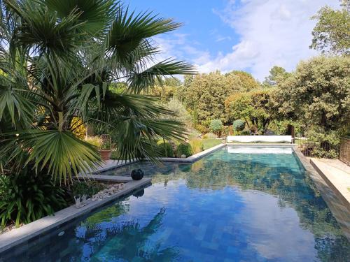 une piscine dans un jardin avec un palmier dans l'établissement La Petite perle, balnéo en supplément, le Clos des Perles, à Tourtour